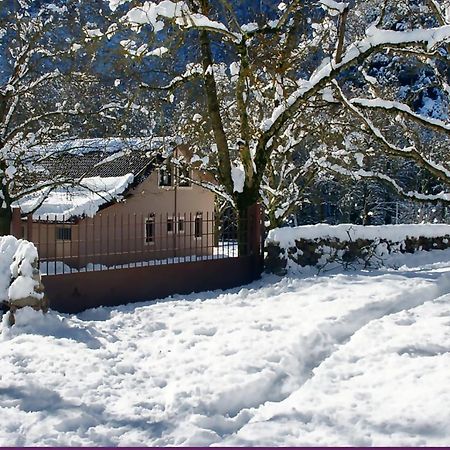 Chalet Coquelicot Kalavryta Exteriér fotografie