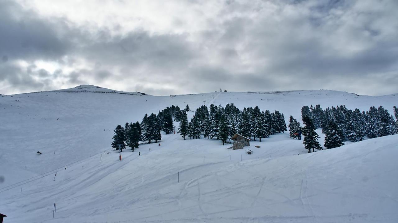 Chalet Coquelicot Kalavryta Exteriér fotografie