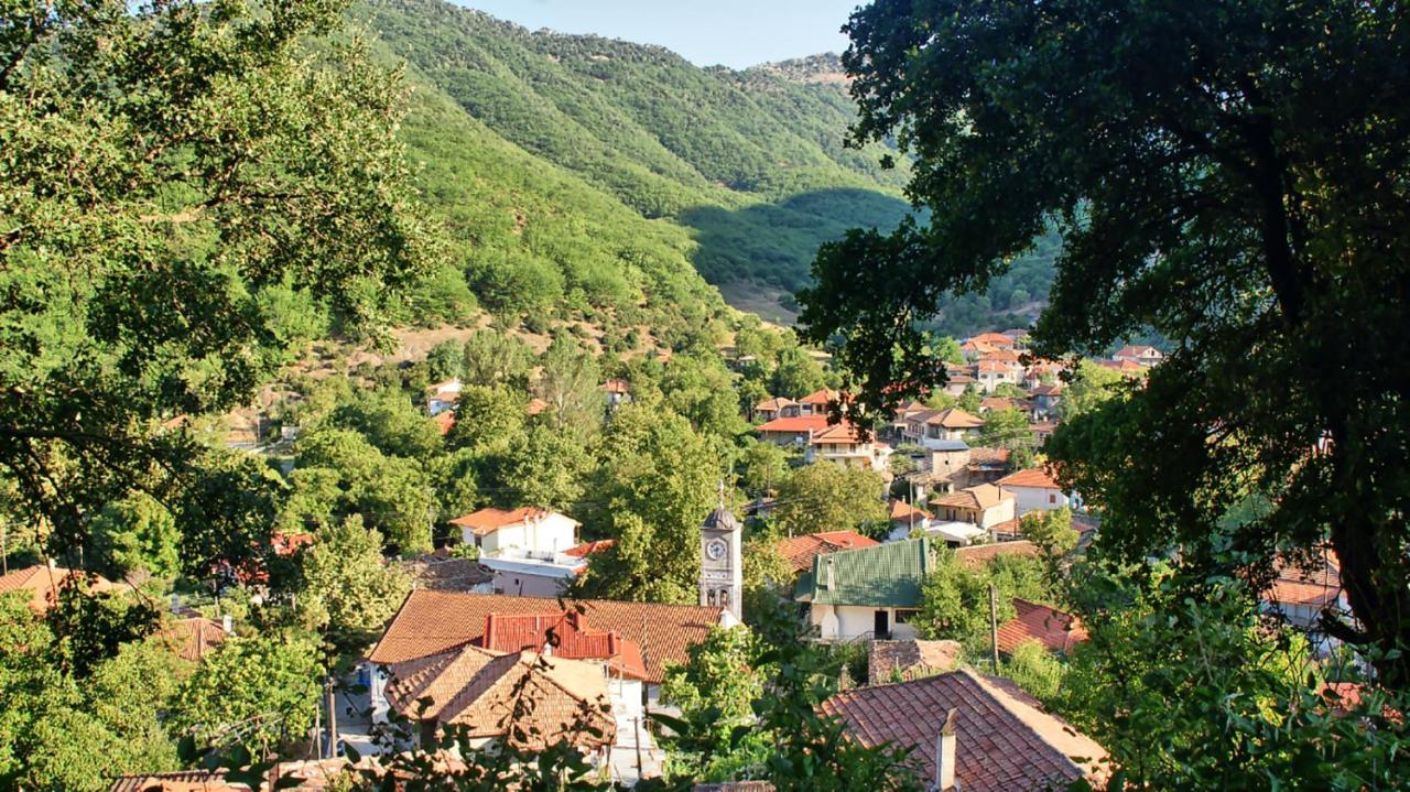 Chalet Coquelicot Kalavryta Exteriér fotografie