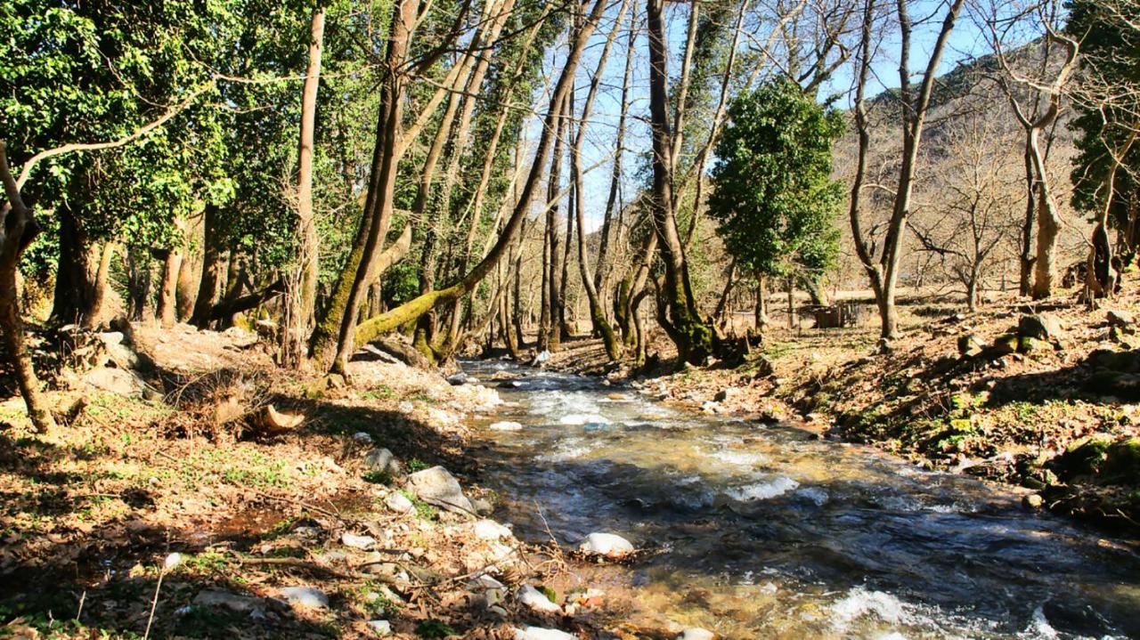 Chalet Coquelicot Kalavryta Exteriér fotografie