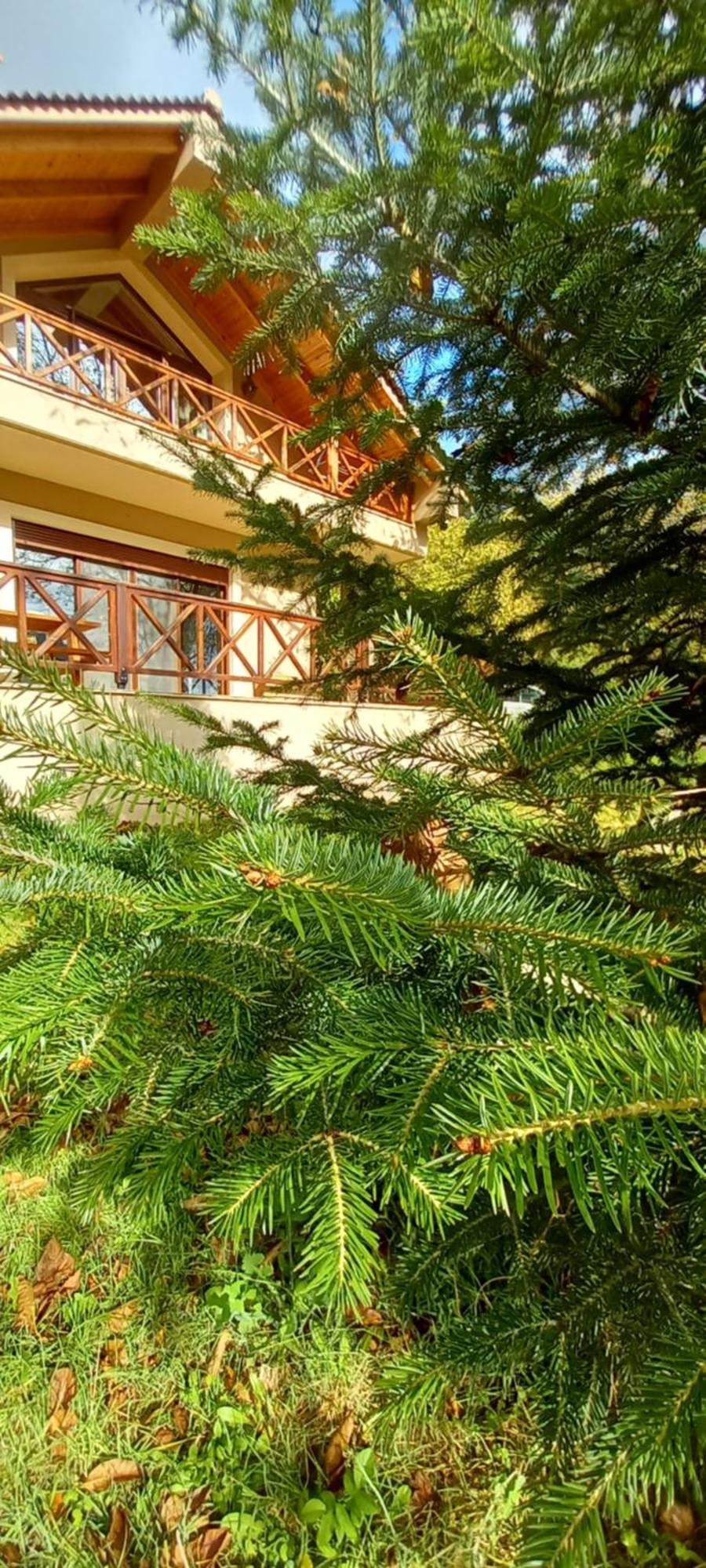 Chalet Coquelicot Kalavryta Exteriér fotografie